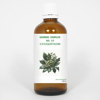 Balancepharma Balancepharma Gemmo simplex 19 ilex aquifolium 100 Milliliter