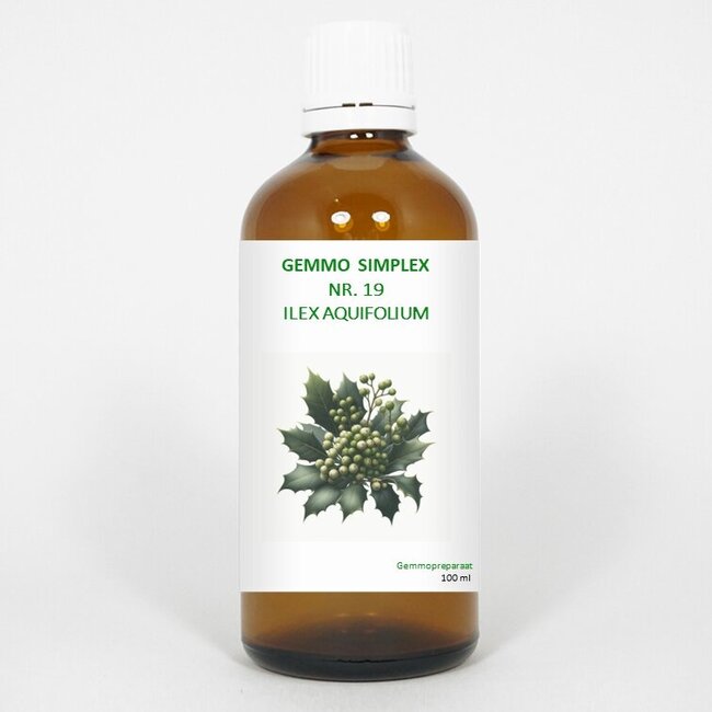 Balancepharma Gemmo simplex 19 ilex aquifolium 100 Milliliter