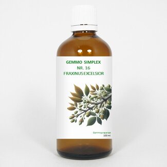 Balancepharma Balancepharma Gemmo simplex 16 fraxinus excelsior 100 Milliliter