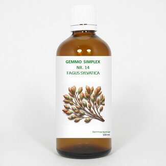 Balancepharma Balancepharma Gemmo simplex 14 fagus sylvatica 100 Milliliter