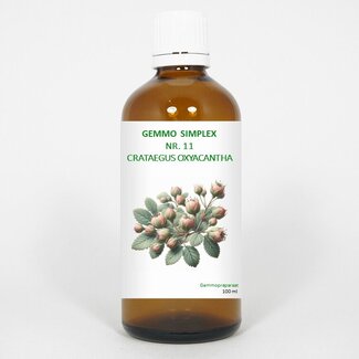 Balancepharma Balancepharma Gemmo simplex 11 crataegus oxyacantha 100 Milliliter