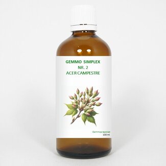 Balancepharma Balancepharma Gemmo simplex 2 acer campestre 100 Milliliter