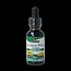Natures Answer Sint Janskruid 1:1 alcoholvrij 30 Milliliter