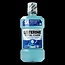 Listerine Bain de bouche Total Care Protection Tartre 500 ml