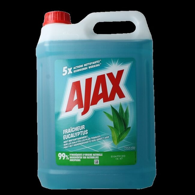 Allesreiniger eucalyptus 5 Liter