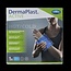 Dermaplast Active cold & hot 13 x 24cm 1 Stuks