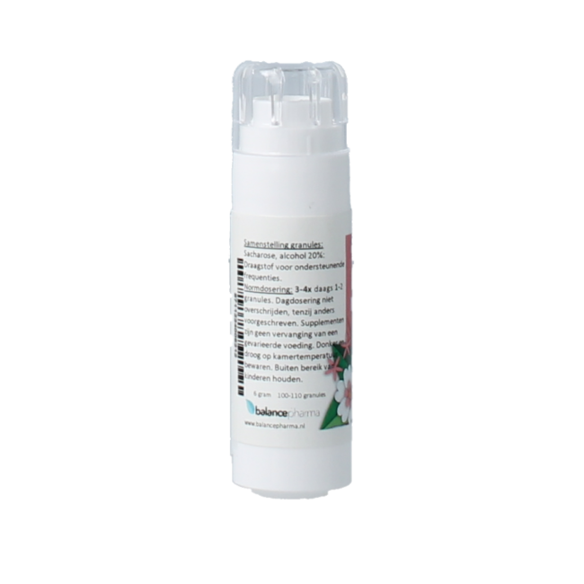 Balancepharma HFP037 Metabolisme flowerplex 6 Gram