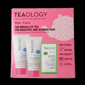 Teaology Teaology Peach tea hair kit 1 Stuks