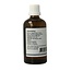 GO Ulmus campestris bio 100 Milliliter