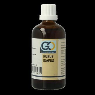 GO GO Rubus idaeus bio 100 Milliliter