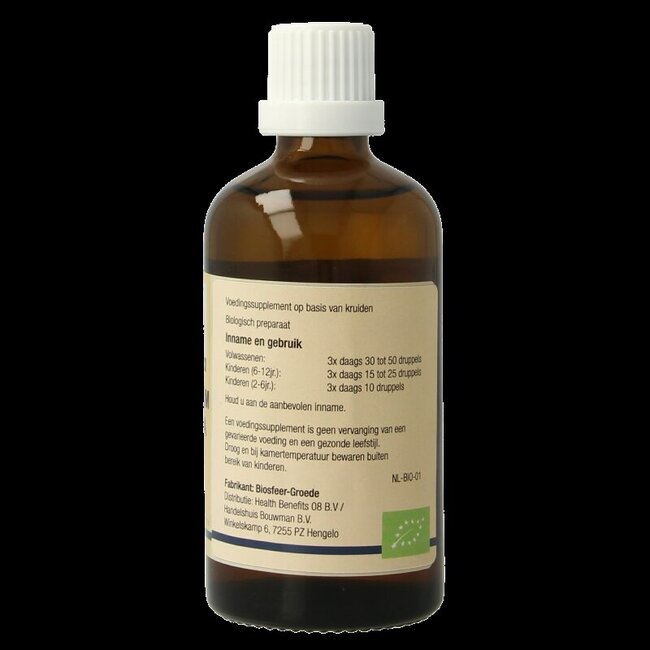 GO Viburnum lantana bio 100 Milliliter