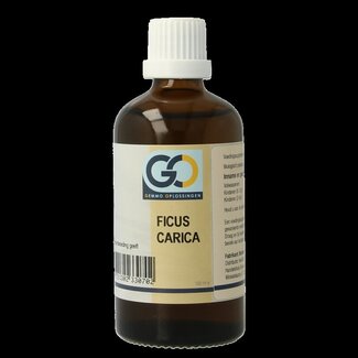 GO GO Ficus carica bio 100 Milliliter