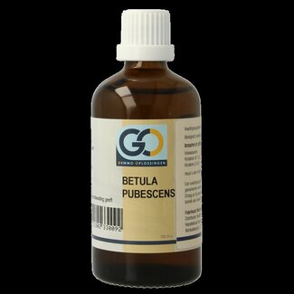 GO GO Betula pubescens bio 100 Milliliter