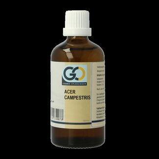 GO GO Acer campestris bio 100 Milliliter