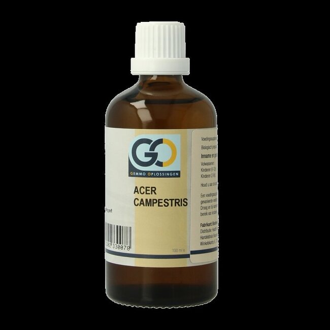 GO Acer campestris bio 100 Milliliter