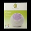Aroma fan flower 1 Stuks