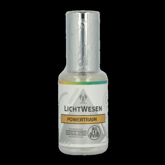 Power train energie spray 30 Milliliter