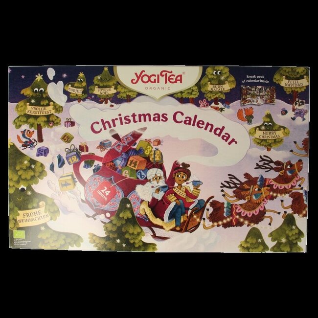 Christmas calendar bio 1 Stuks