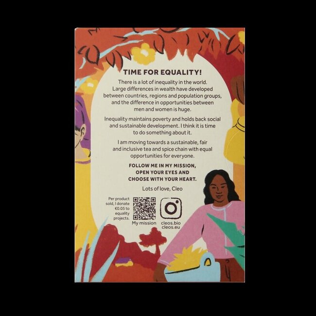 Cleo's Spicy chai bio 18 sachets