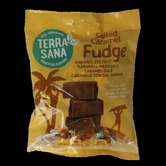 TerraSana TerraSana Fudge karamel zeezout bio 150 Gram