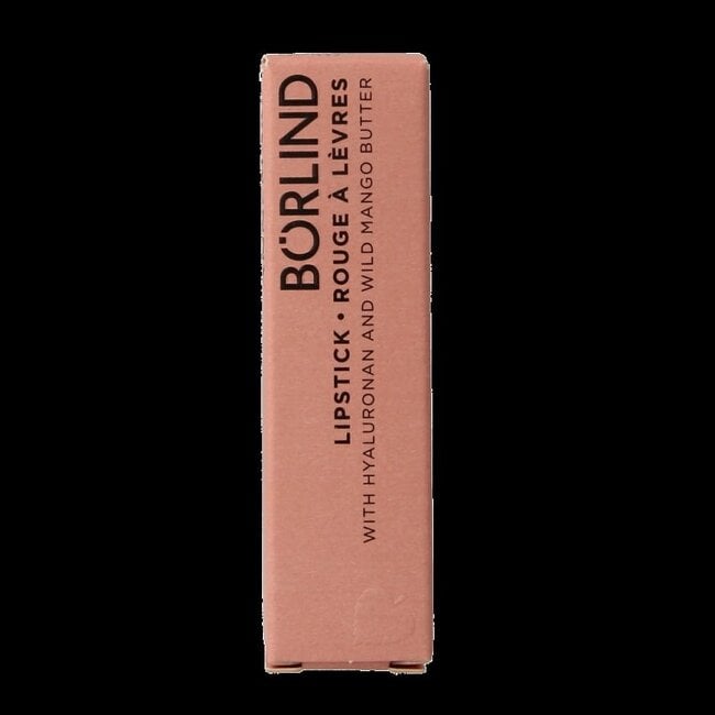 Lipstick Paris red 4.2 Gram