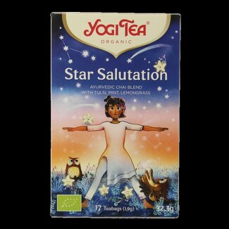 Yogi Tea Yogi Tea Star salutation bio 17 Zakjes