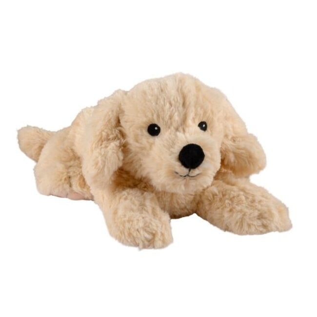 Golden retriever 1 Stuks