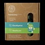 Handzeep premium starterset eucalyptus & basilicum 1 Set