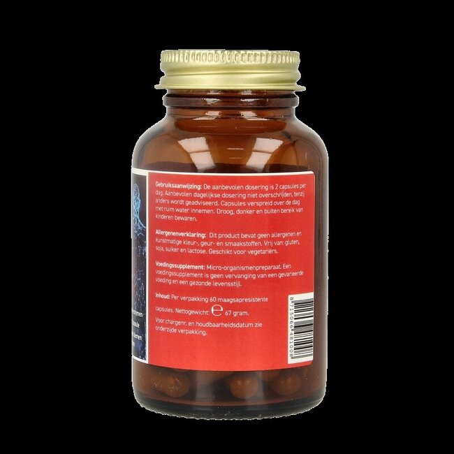 Probiotiques et enzymes All Natural 60 gélules végétales