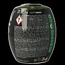Dylon Pod olive green 350 Gram