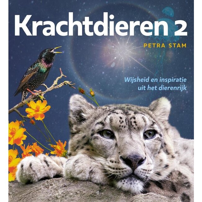 Krachtdieren 2 - wijsheid en inspiratie dierenrijk 1 Stuks