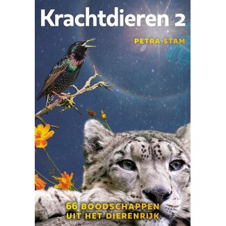 A3 boeken Krachtdieren 2 kaartenset 1 Set