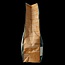 Kattenvoer wheat-free bio 800 Gram