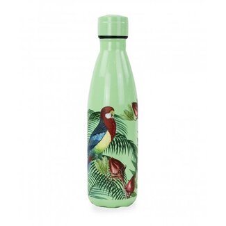 Yoko Drinkfles jardin bot papegaai isotherm 500ml 1 Stuks