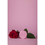 Après-shampooing solide Tender Rose 65 g