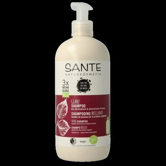 Sante Shampoing familial bouleau et protéines végétales 500 ml