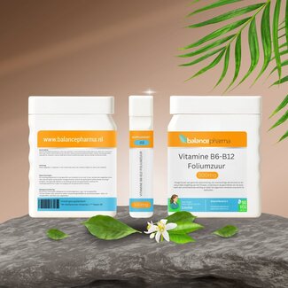 Balancepharma Supplements 48 Vitamine B6-B12-acide folique 90 gélules végétales