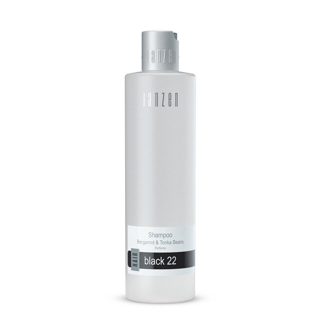 Shampoo black 22 300 Milliliter