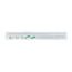 Immuno booster 15ml bio 10 Ampullen