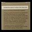 Men deodorant roll on magnesium rich 50 Milliliter