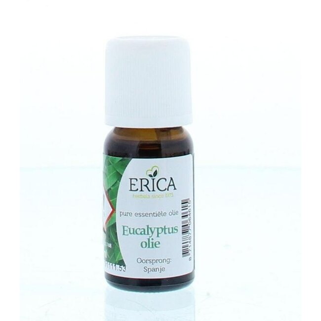 Etherische olie eucalyptus 10 Milliliter