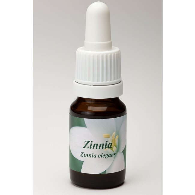 Zinnia 10 Milliliter