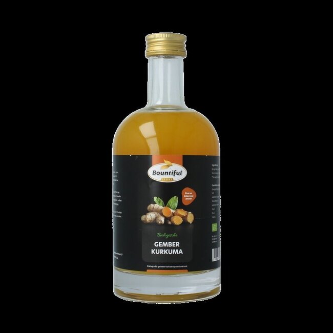 Gember sap kurkuma bio 500 Milliliter
