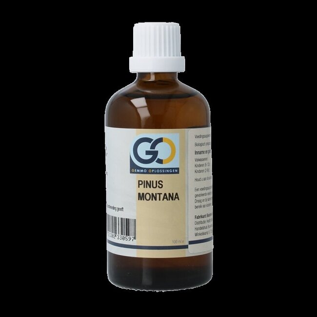 Pinus montana bio 100 Milliliter
