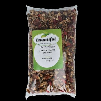 Ambachtelijke granola superfood 350 Gram