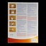 Active patch 5 Stuks