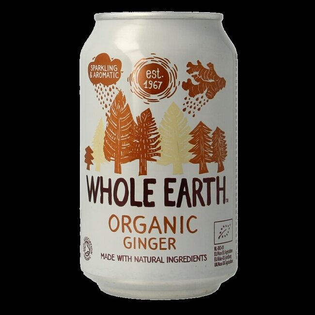 Sparkling ginger bio 330 Milliliter