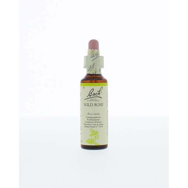 Wild rose/hondsroos 20 Milliliter