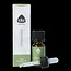Patchouli cultivar 10 Milliliter