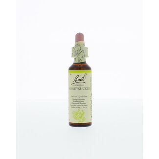 Bach Honeysuckle/kamperfoelie 20 Milliliter